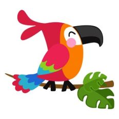 Tropical Bird