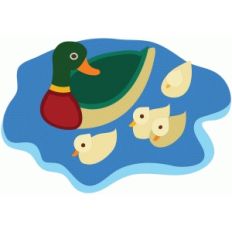 duck family