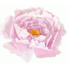 3d peony