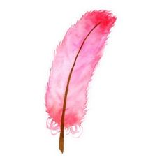 Pink Hand Painted Watercolor Feather