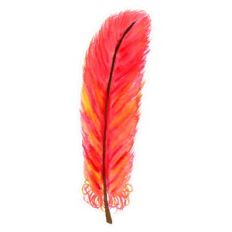 Red Hand Painted Watercolor Feather