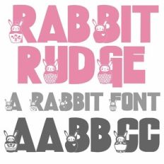 PN Rabbit Rudge