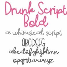 ZP Drunk Script Bold