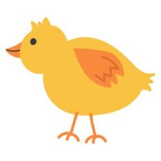 Baby Chick