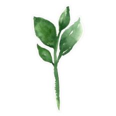 Loose Leaf Watercolor Sprig Floral Print and Cut