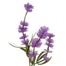 Decorative lavender