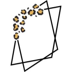 Geometric Frame Leopard Print