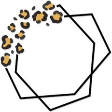 Geometric Frame Leopard Print