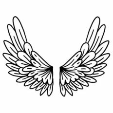 Angel Wings