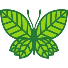 butterfly with leaf wings