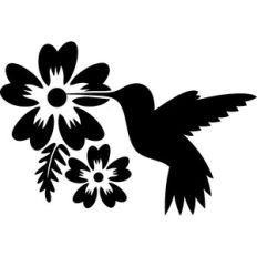 hummingbird and flowers