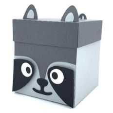 raccoon box