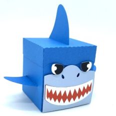 shark box