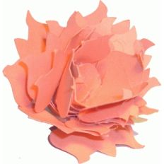 rolled spring flower