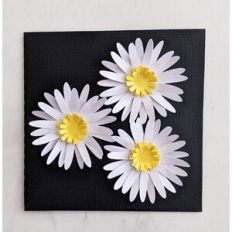3d daisy card