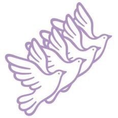 Dove birds