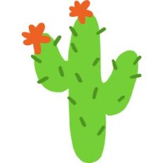 Cactus