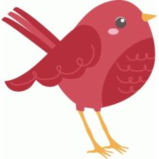 imaginisce bird