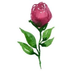 Dusty Pink Watercolor Rose Bud Print and Cut