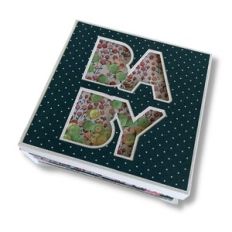 SHAKER MINI ALBUM BABY