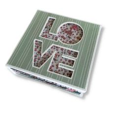 SHAKER MINI ALBUM LOVE