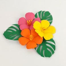 Hibiscus Flower