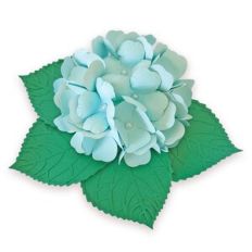 Hydrangea Flower with leaf