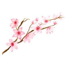 Watercolor Cherry Blossom Flower Branch Print and Cut