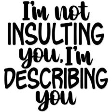 I'm not insulting you I'm describing you