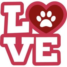 love pets