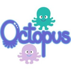 octopus