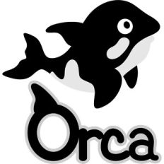 orca whale