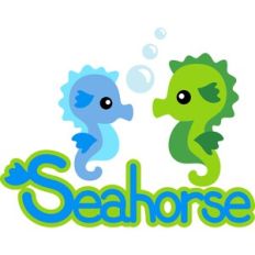 seahorse