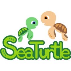sea turtle