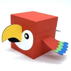macaw box