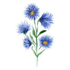 Blue Aster Watercolor Flowers Spray Print and Cut