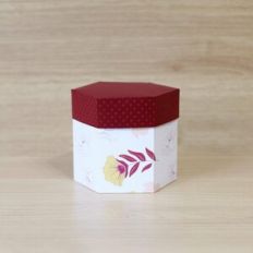 Hexagonal box large
