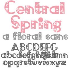 ZP Central Spring