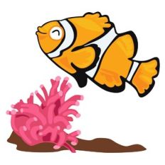 Tropical Fish