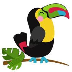 Tropical Bird
