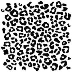 Leopard Print Pattern