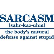 Sarcasm Definition