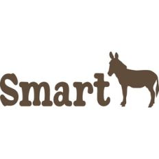 Smart