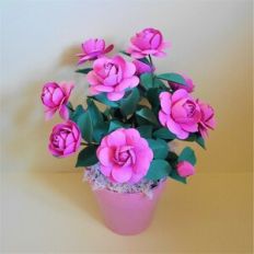 Dolce Mini Rose