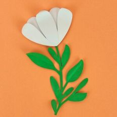 Flower 135