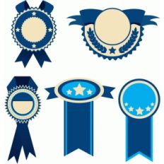 awards ribbon set
