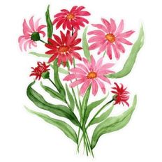 Pink and Red Daisy Watercolor Flowers Print and Cut