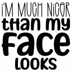 I'm Much Nicer Than My Face Looks Quote