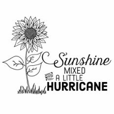 Sunshine Mixed With a Little Hurricane Sunflower Quote