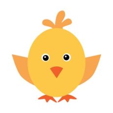 Little chick